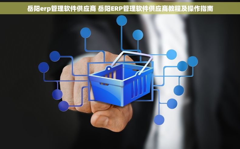 岳阳erp管理软件供应商 岳阳ERP管理软件供应商教程及操作指南