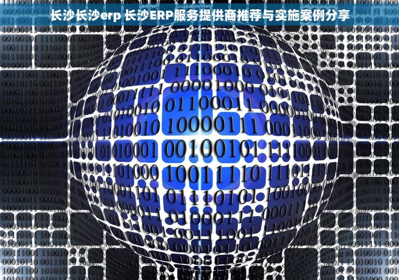 长沙长沙erp 长沙ERP服务提供商推荐与实施案例分享