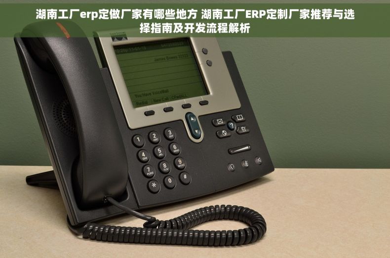 湖南工厂erp定做厂家有哪些地方 湖南工厂ERP定制厂家推荐与选择指南及开发流程解析