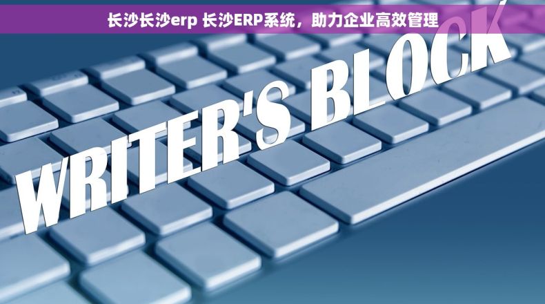 长沙长沙erp 长沙ERP系统，助力企业高效管理