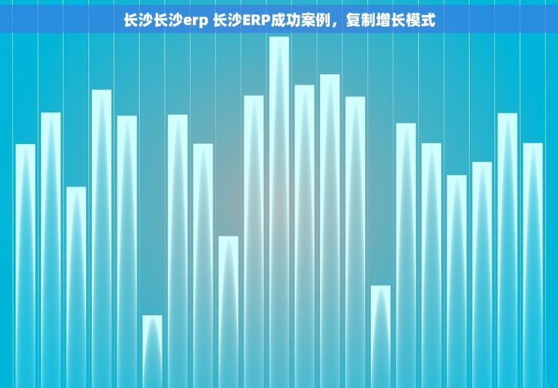 长沙长沙erp 长沙ERP成功案例，复制增长模式