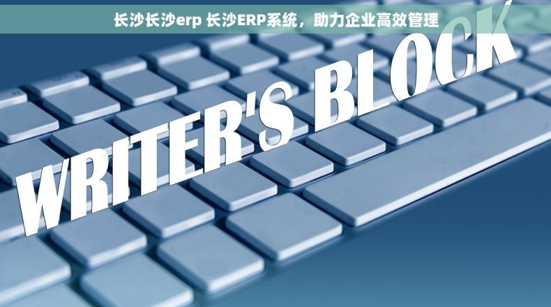 长沙长沙erp 长沙ERP系统，助力企业高效管理