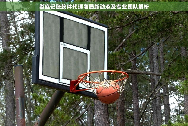 娄底记账软件代理商最新动态及专业团队解析
