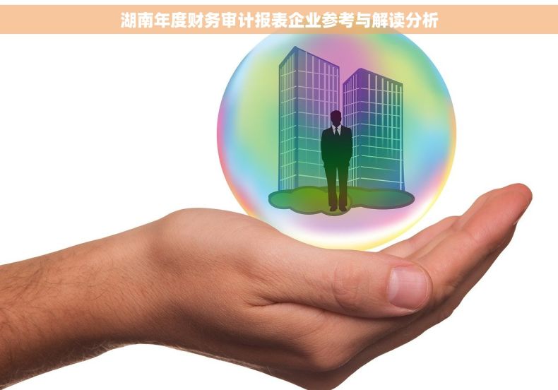 湖南年度财务审计报表企业参考与解读分析