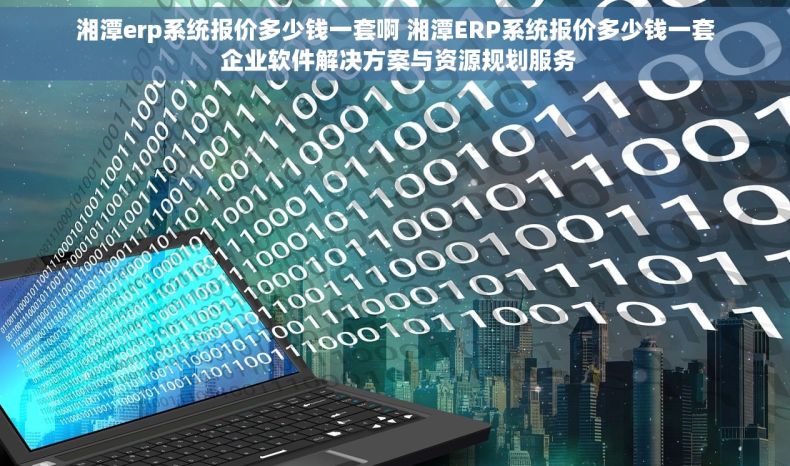 湘潭erp系统报价多少钱一套啊 湘潭ERP系统报价多少钱一套 企业软件解决方案与资源规划服务