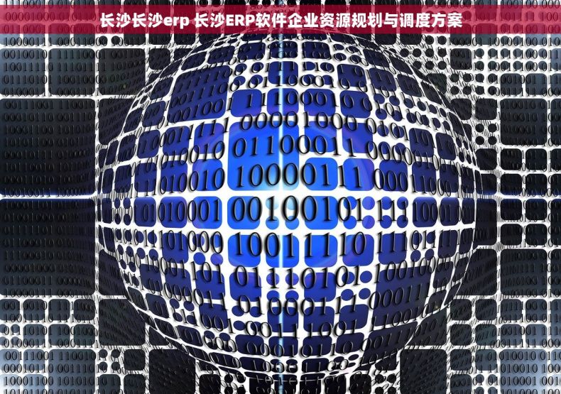 长沙长沙erp 长沙ERP软件企业资源规划与调度方案