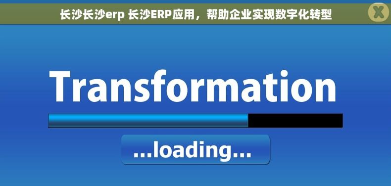 长沙长沙erp 长沙ERP应用，帮助企业实现数字化转型