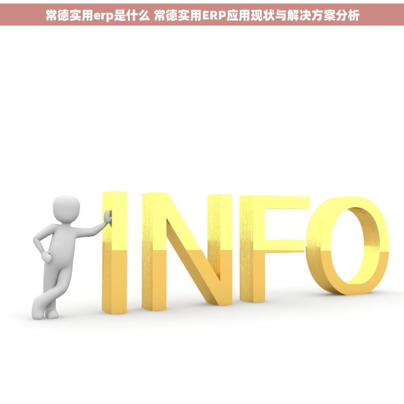常德实用erp是什么 常德实用ERP应用现状与解决方案分析