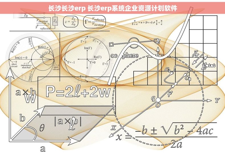 长沙长沙erp 长沙erp系统企业资源计划软件