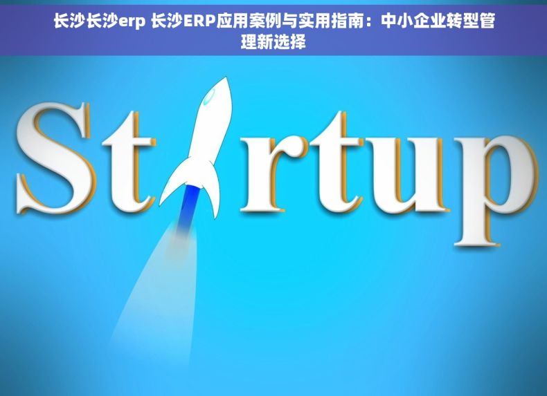 长沙长沙erp 长沙ERP应用案例与实用指南：中小企业转型管理新选择