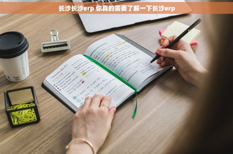 长沙长沙erp 你真的需要了解一下长沙erp