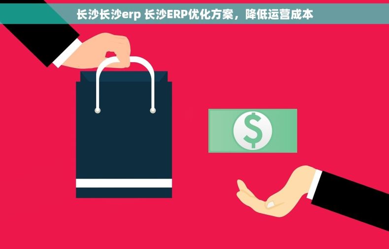 长沙长沙erp 长沙ERP优化方案，降低运营成本