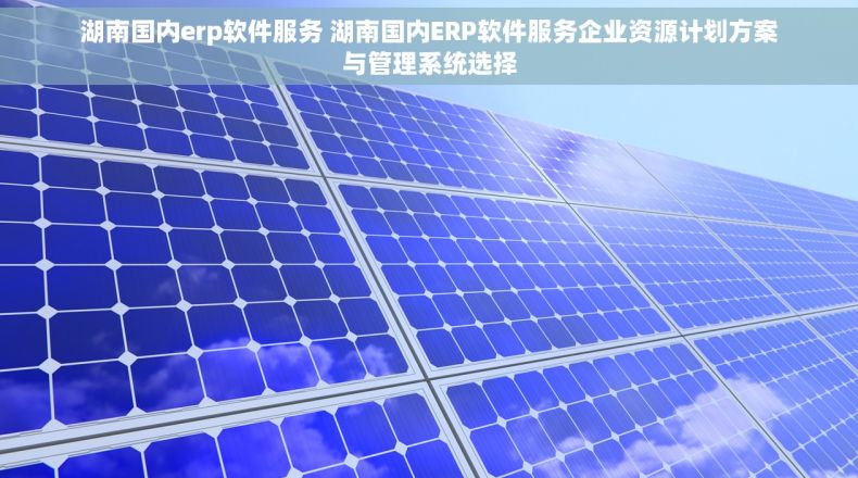 湖南国内erp软件服务 湖南国内ERP软件服务企业资源计划方案与管理系统选择