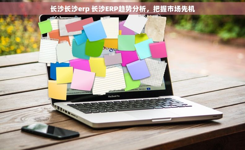 长沙长沙erp 长沙ERP趋势分析，把握市场先机