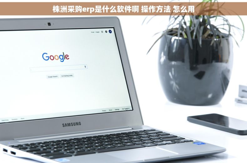 株洲采购erp是什么软件啊 操作方法 怎么用