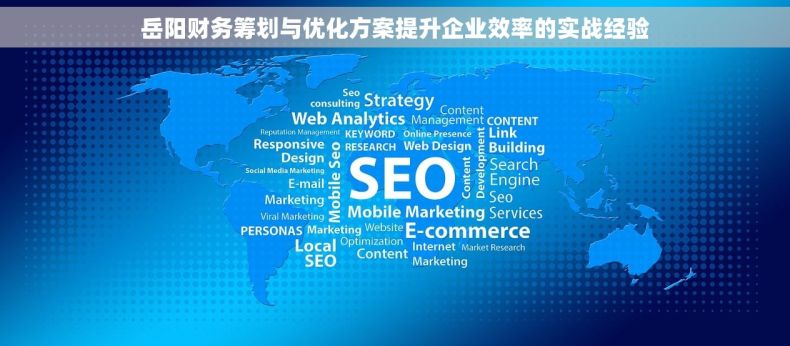 岳阳财务筹划与优化方案提升企业效率的实战经验