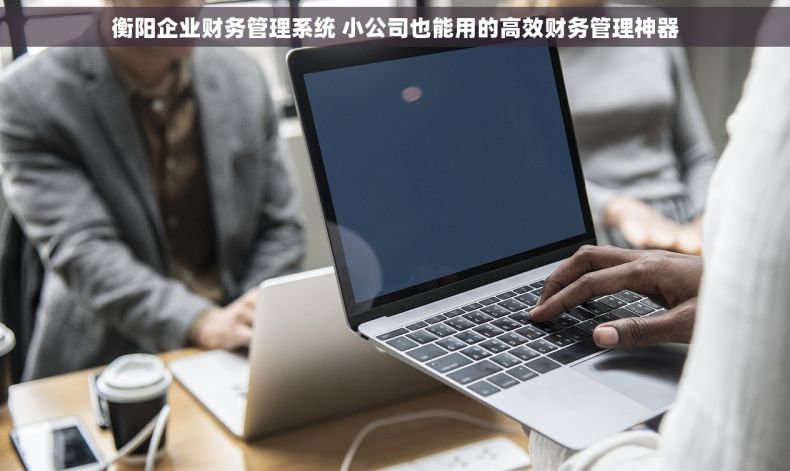 衡阳企业财务管理系统 小公司也能用的高效财务管理神器