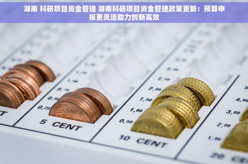 湖南 科研项目资金管理 湖南科研项目资金管理政策更新：预算申报更灵活助力创新高效