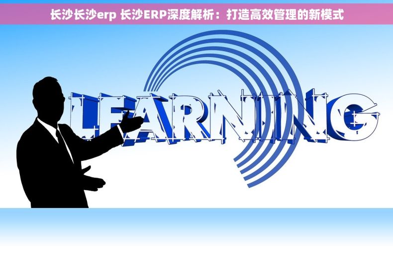 长沙长沙erp 长沙ERP深度解析：打造高效管理的新模式