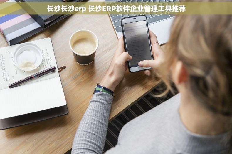 长沙长沙erp 长沙ERP软件企业管理工具推荐