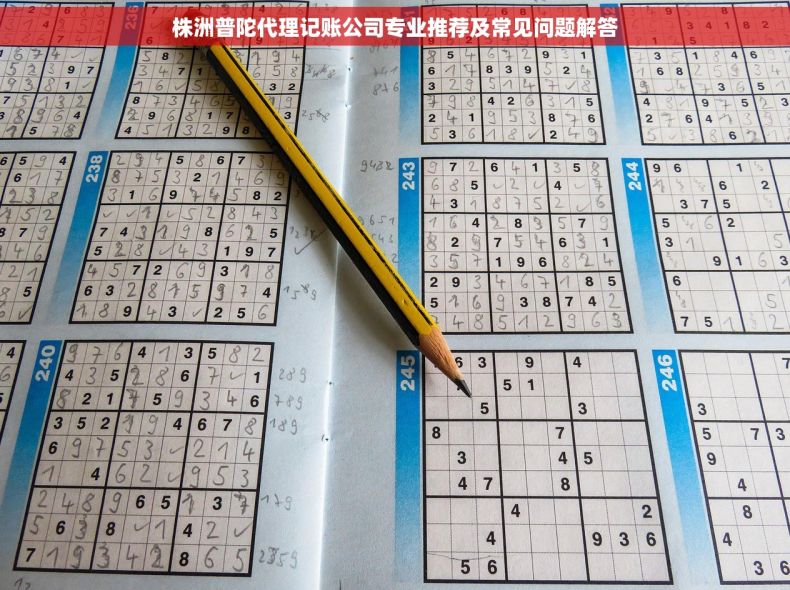 株洲普陀代理记账公司专业推荐及常见问题解答