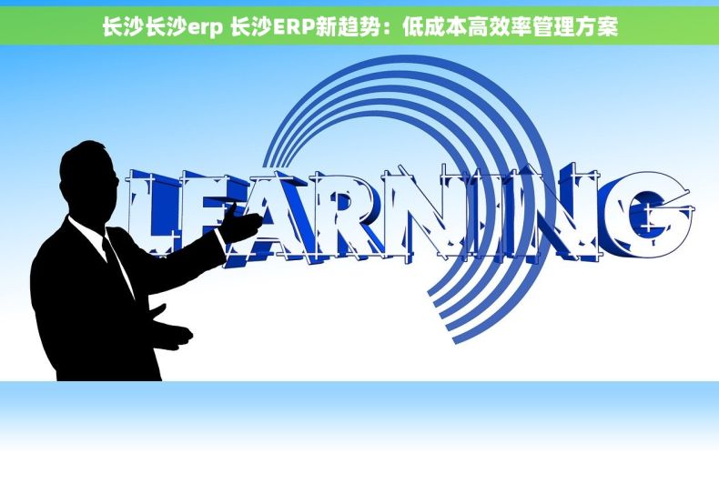 长沙长沙erp 长沙ERP新趋势：低成本高效率管理方案