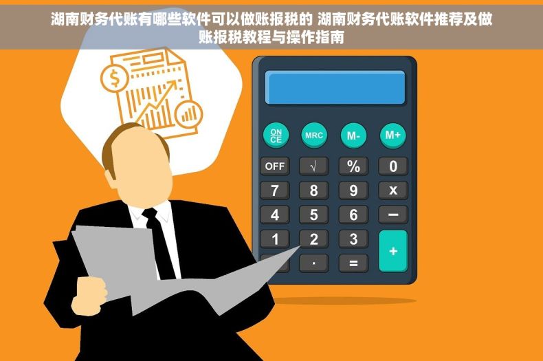 湖南财务代账有哪些软件可以做账报税的 湖南财务代账软件推荐及做账报税教程与操作指南