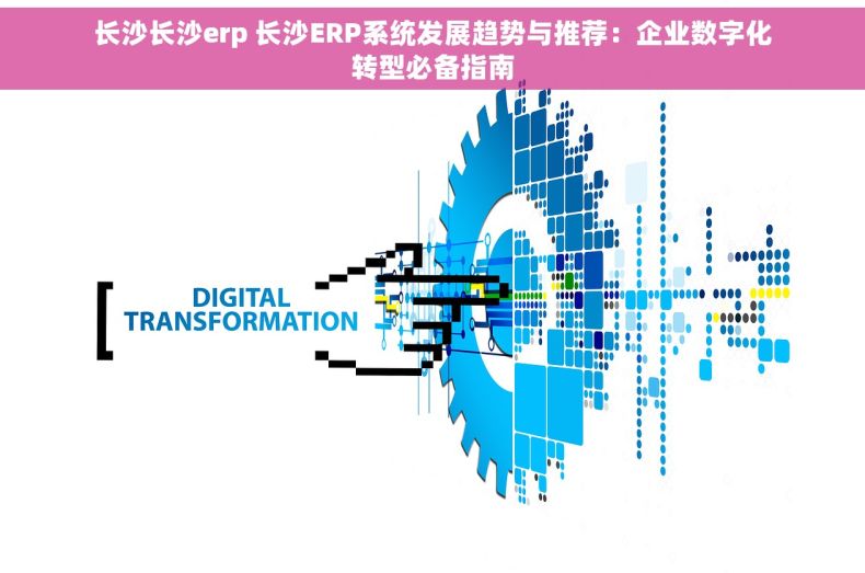 长沙长沙erp 长沙ERP系统发展趋势与推荐：企业数字化转型必备指南