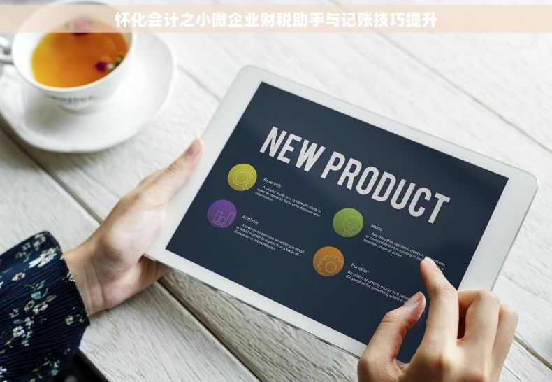 怀化会计之小微企业财税助手与记账技巧提升