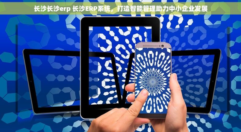 长沙长沙erp 长沙ERP系统，打造智能管理助力中小企业发展