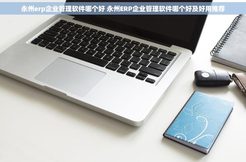 永州erp企业管理软件哪个好 永州ERP企业管理软件哪个好及好用推荐