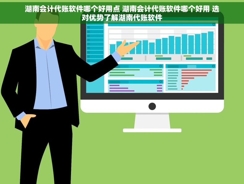 湖南会计代账软件哪个好用点 湖南会计代账软件哪个好用 选对优势了解湖南代账软件