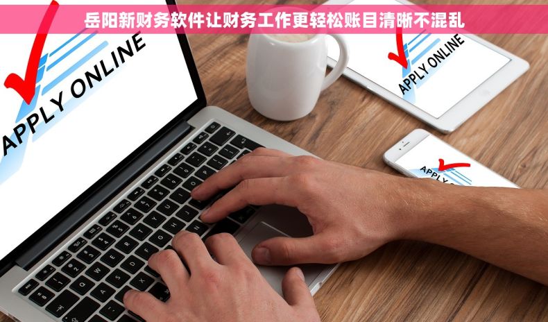 岳阳新财务软件让财务工作更轻松账目清晰不混乱