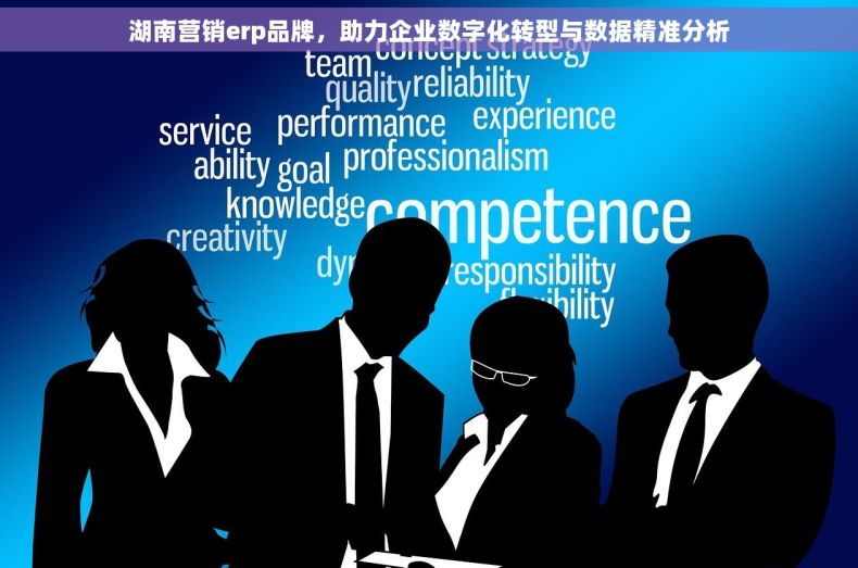 湖南营销erp品牌，助力企业数字化转型与数据精准分析