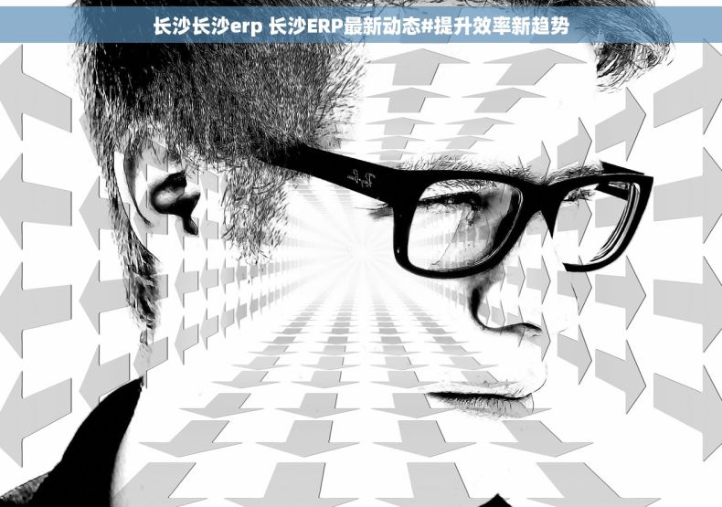 长沙长沙erp 长沙ERP最新动态#提升效率新趋势
