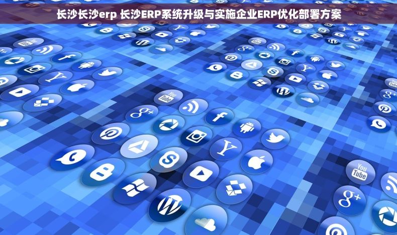 长沙长沙erp 长沙ERP系统升级与实施企业ERP优化部署方案