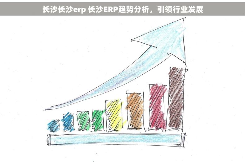 长沙长沙erp 长沙ERP趋势分析，引领行业发展