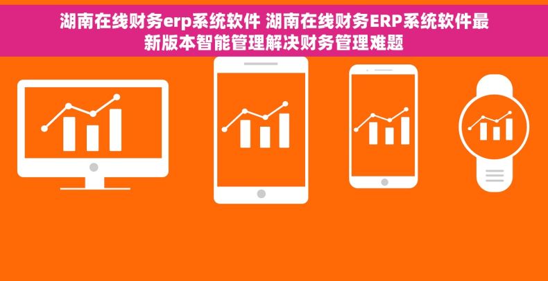 湖南在线财务erp系统软件 湖南在线财务ERP系统软件最新版本智能管理解决财务管理难题