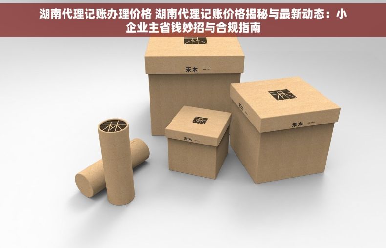 湖南代理记账办理价格 湖南代理记账价格揭秘与最新动态：小企业主省钱妙招与合规指南