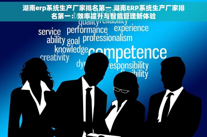 湖南erp系统生产厂家排名第一 湖南ERP系统生产厂家排名第一：效率提升与智能管理新体验