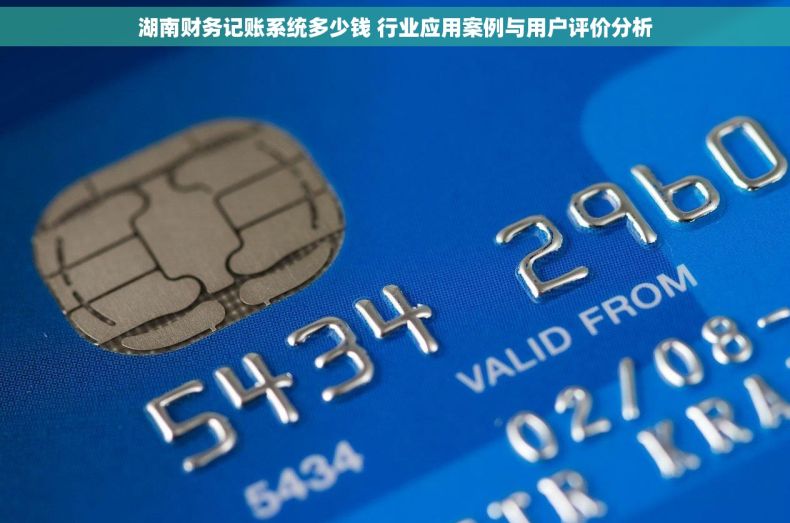 湖南财务记账系统多少钱 行业应用案例与用户评价分析