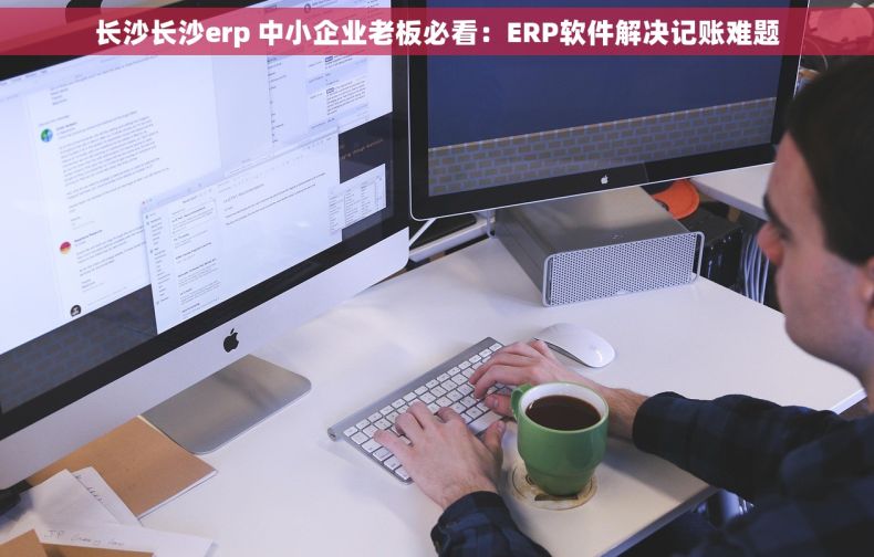长沙长沙erp 中小企业老板必看：ERP软件解决记账难题