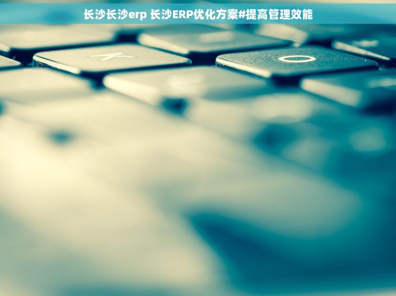 长沙长沙erp 长沙ERP优化方案#提高管理效能