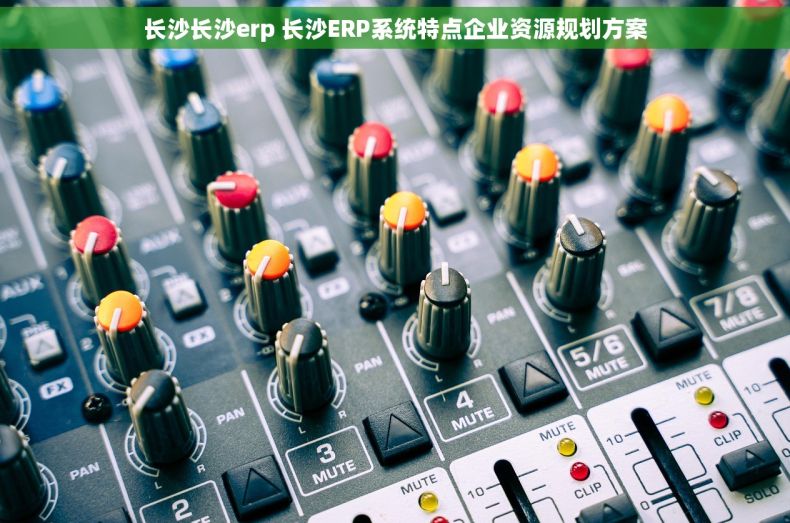 长沙长沙erp 长沙ERP系统特点企业资源规划方案