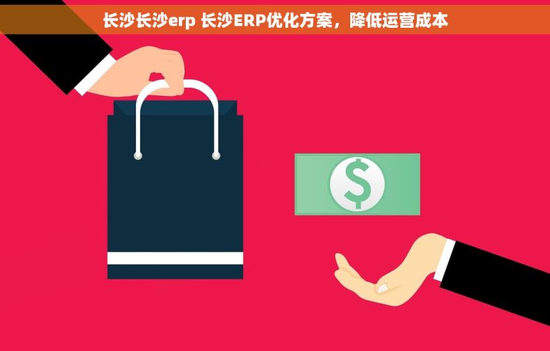 长沙长沙erp 长沙ERP优化方案，降低运营成本