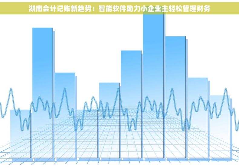 湖南会计记账新趋势：智能软件助力小企业主轻松管理财务