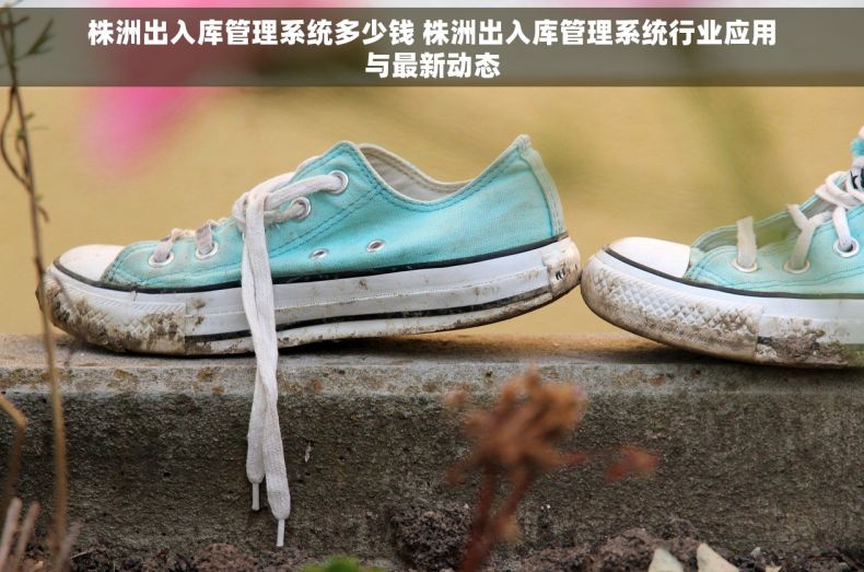 株洲出入库管理系统多少钱 株洲出入库管理系统行业应用与最新动态
