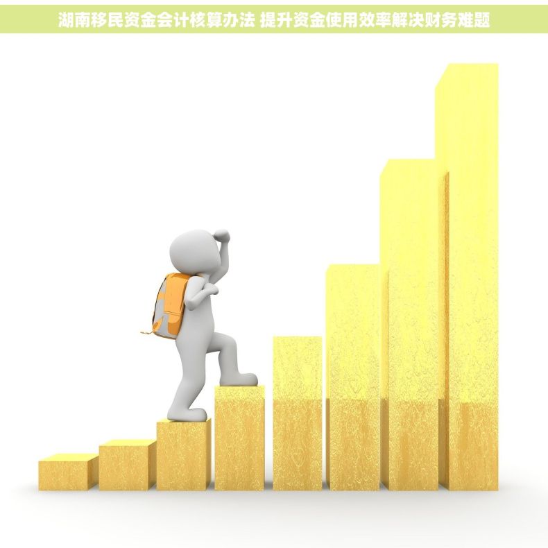 湖南移民资金会计核算办法 提升资金使用效率解决财务难题