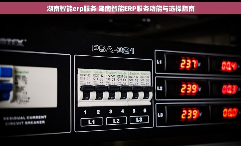 湖南智能erp服务 湖南智能ERP服务功能与选择指南
