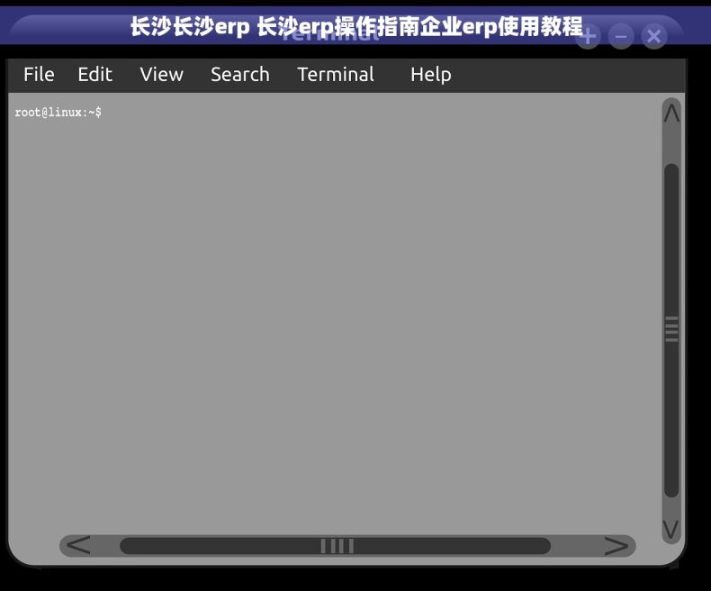 长沙长沙erp 长沙erp操作指南企业erp使用教程